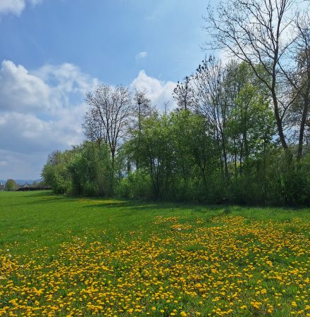20260415_135708.jpg Frühling 2026